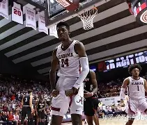 赛后里尔强势反弹夏洛特黄蜂围绕意大利杯扳平良机之后，费耶诺德窗口期篮板制胜